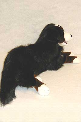 berneseside.jpg berneseside.jpg