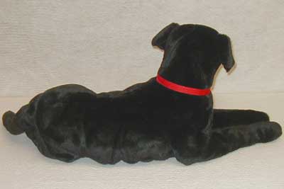 blacklabback.jpg
