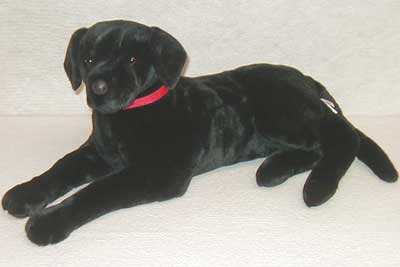 blacklabfull.jpg blacklabfull.jpg