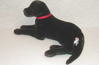 blacklabside.jpg blacklabside.jpg