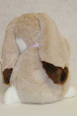 brittanyback.jpg brittanyback.jpg