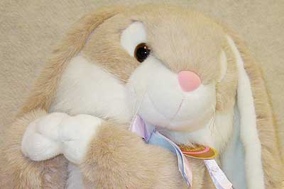 brittanyface.jpg brittanyface.jpg