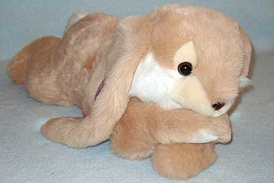 brownlongfull.jpg brownlongfull.jpg