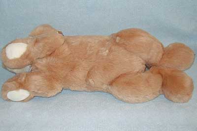 brownlongunder.jpg brownlongunder.jpg