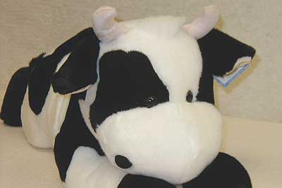 cassidyface.jpg cassidyface.jpg