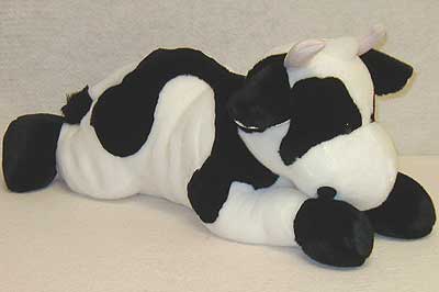 cassidyfull.jpg cassidyfull.jpg