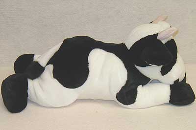 cassidyside.jpg cassidyside.jpg