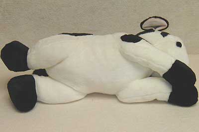 cassidyunder.jpg cassidyunder.jpg