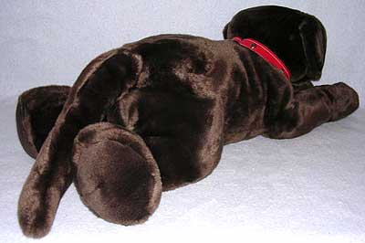 chocolateback.jpg chocolateback.jpg