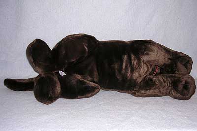 chocolateunder.jpg chocolateunder.jpg