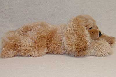 copperside.jpg copperside.jpg