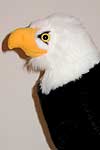 eaglethumb.jpg