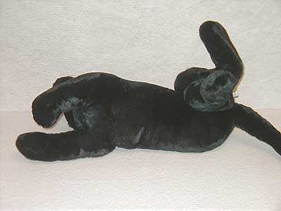 ebonyunder.jpg ebonyunder.jpg