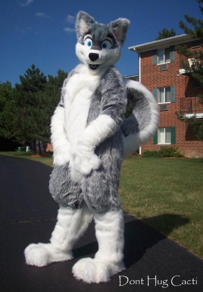 2ir68tg.jpg 2ir68tg.jpg