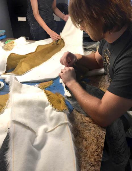 AXVM6191.jpg AXVM6191.jpg