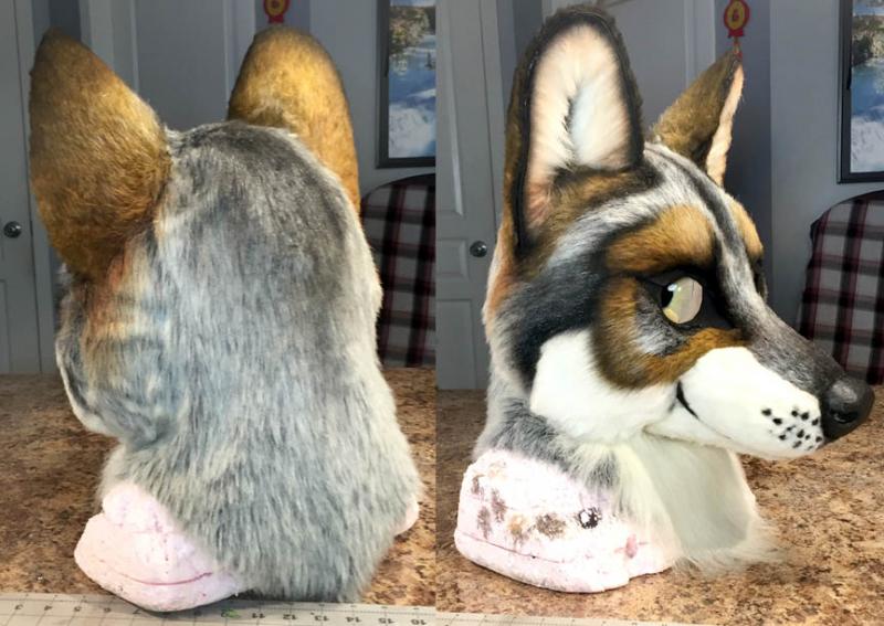 FUTO3536.jpg FUTO3536.jpg