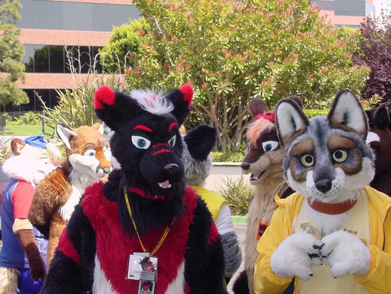 Califur 3_2007 08.jpg