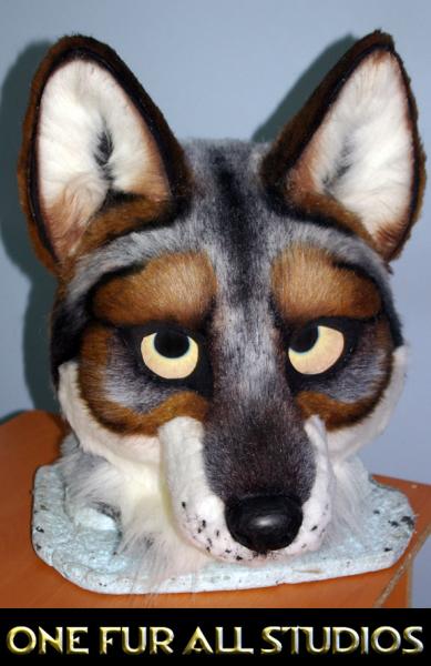 Chichitzi-1.jpg Chichitzi-1.jpg