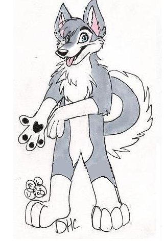 Husky02.jpg Husky02.jpg