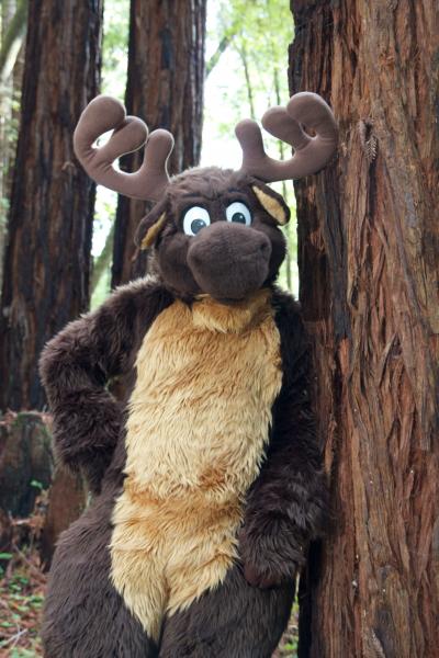 Moose in the Redwoods Unedited 17.jpg