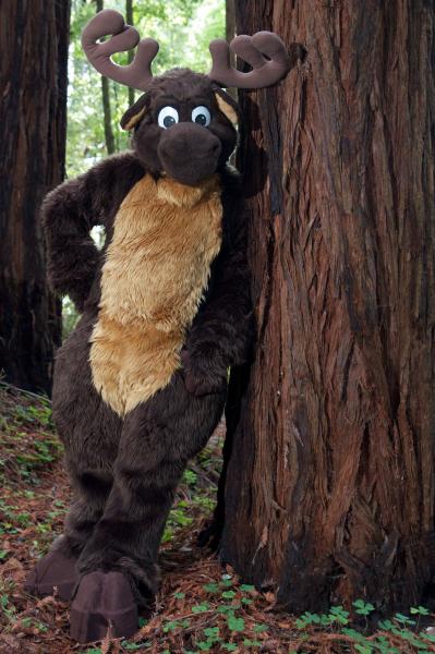 Moose in the Redwoods Unedited 20.jpg