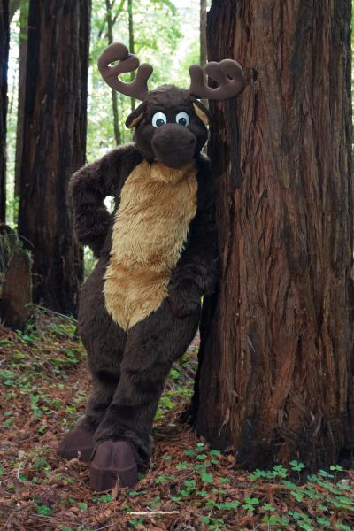 Moose in the Redwoods Unedited 21.jpg