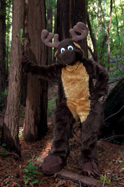 Moose in the Redwoods Unedited 23.jpg