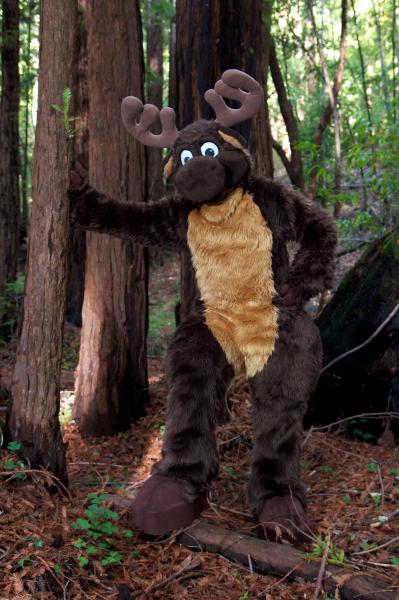 Moose in the Redwoods Unedited 25.jpg