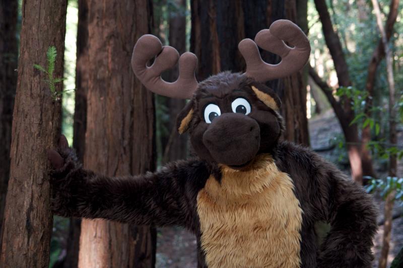 Moose in the Redwoods Unedited 27.jpg