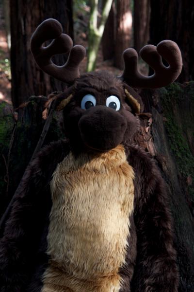 Moose in the Redwoods Unedited 31.jpg