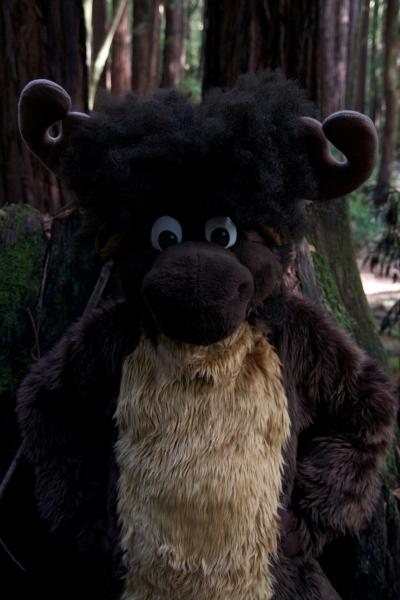 Moose in the Redwoods Unedited 33.jpg