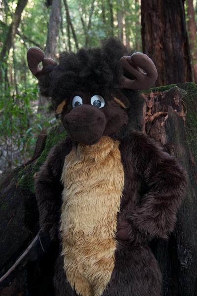 Moose in the Redwoods Unedited 34.jpg