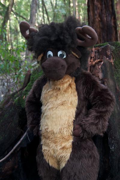 Moose in the Redwoods Unedited 35.jpg