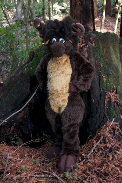 Moose in the Redwoods Unedited 38.jpg