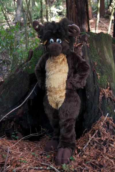 Moose in the Redwoods Unedited 39.jpg