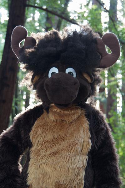 Moose in the Redwoods Unedited 40.jpg