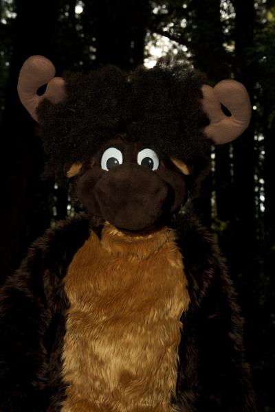 Moose in the Redwoods Unedited 41.jpg