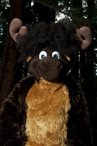 Moose in the Redwoods Unedited 42.jpg