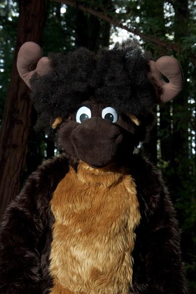 Moose in the Redwoods Unedited 43.jpg