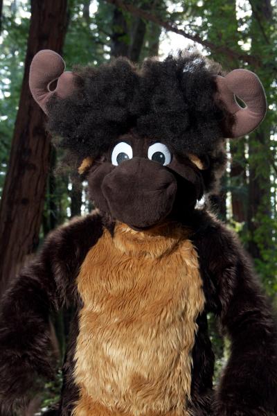 Moose in the Redwoods Unedited 44.jpg