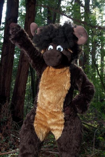 Moose in the Redwoods Unedited 45.jpg