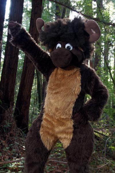 Moose in the Redwoods Unedited 46.jpg