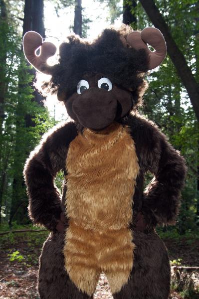 Moose in the Redwoods Unedited 47.jpg