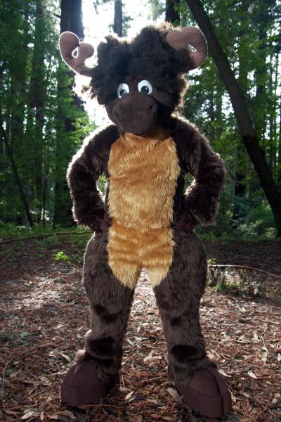 Moose in the Redwoods Unedited 48.jpg