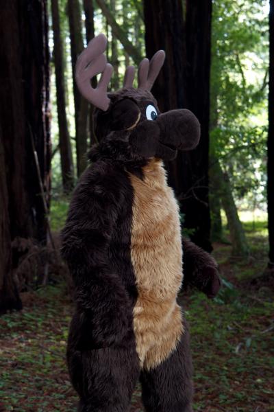 Moose in the Redwoods Unedited 5.jpg