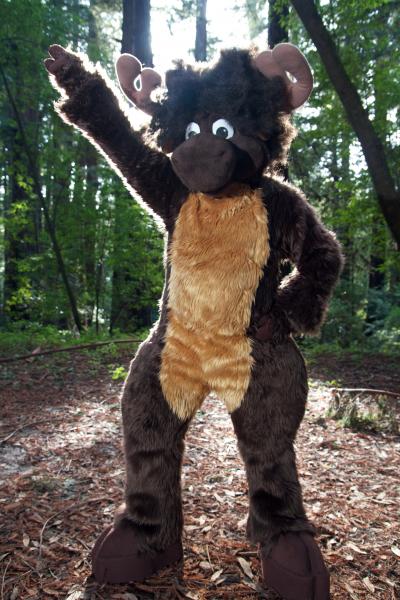 Moose in the Redwoods Unedited 50.jpg