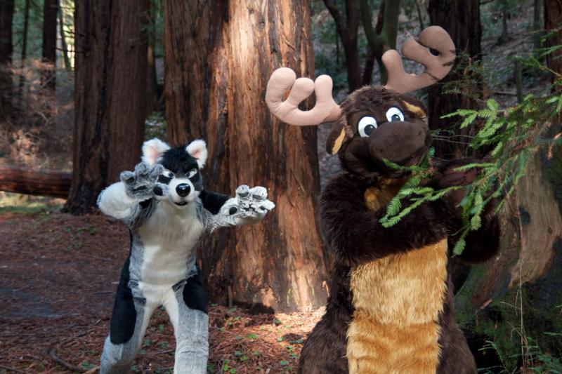 Moose in the Redwoods Unedited 71.jpg