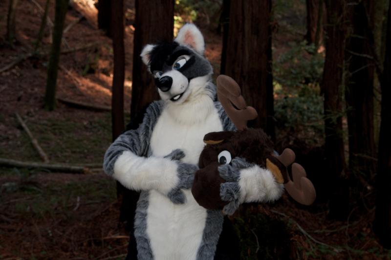 Moose in the Redwoods Unedited 88.jpg