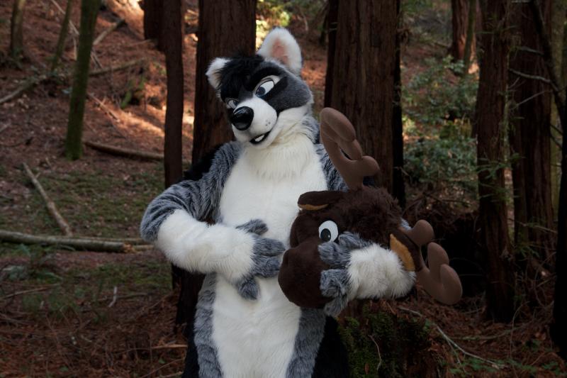 Moose in the Redwoods Unedited 90.jpg