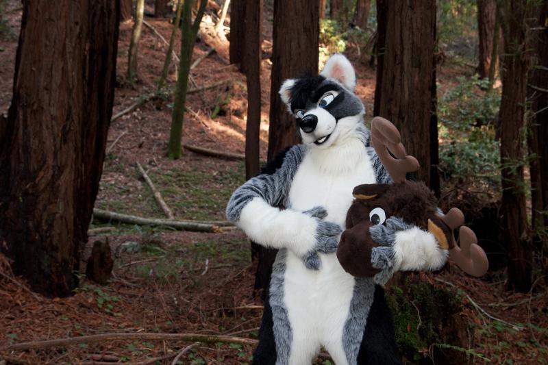 Moose in the Redwoods Unedited 91.jpg